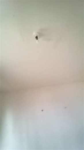 my first transaction