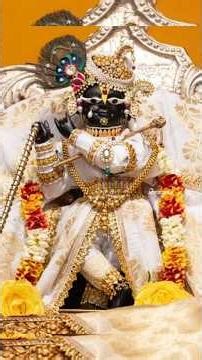 Unbelievable Miracle of Radha Raman Ji 🙏 (True Story) #motivation #usa