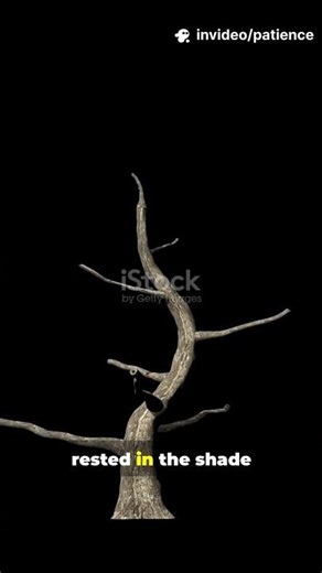 The Old Man and the Tree | Patience Creates Greatness #Shorts #masteringdiscipline #motivation