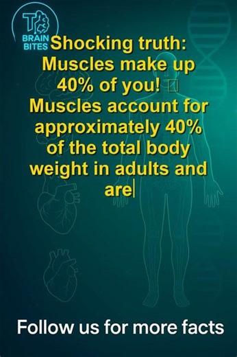 Muscles Account for 40% of Body Weight Importance of Movement Stability #Shorts