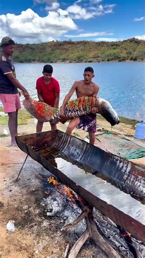 É preciso três pessoas para se fritar um pirarucu gigante da Amazônia...