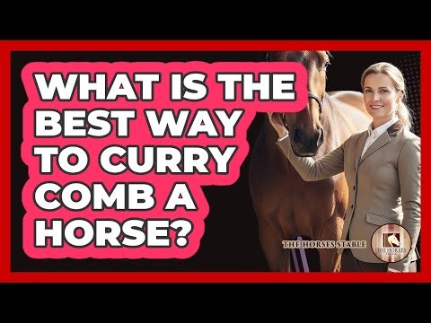 What Is The Best Way To Curry Comb A Horse?