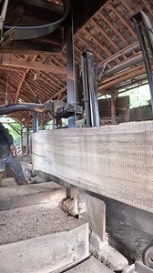 17K views · 116 reactions | Dangerous sawmill process without safety | Sawmill & Woodworking | Facebook