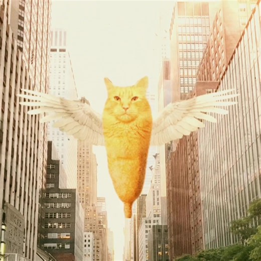 #corndogcat #cat #brainrot #reunion | cat