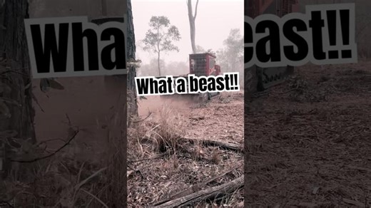 Landclearing time lapse 🔥 | Lamtrac Global Inc.