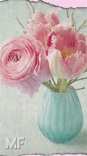 Meet one of nature’s best moms: the Surinam toad. #mothersday #bestmom #nature #science | Mental Floss