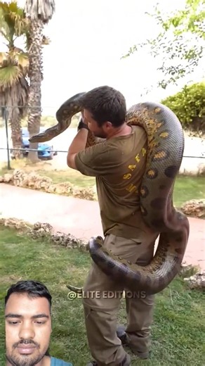 Amazing Snake Transformation 😱#viral #facts
