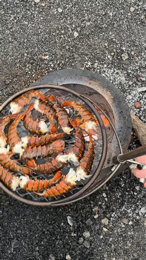 Surf n Turf Tailgate | Chef Cuso