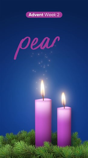 1.5K views · 17 reactions | This week, we light the second candle of Advent, Peace. Peace isn’t just a feeling, it’s a gift we give through compassion. At Mater, we bring peace to those in their most vulnerable moments. Let’s take this time to pause, breathe and share peace wherever we go. #Christmas #Advent #Peace | Mater | Facebook