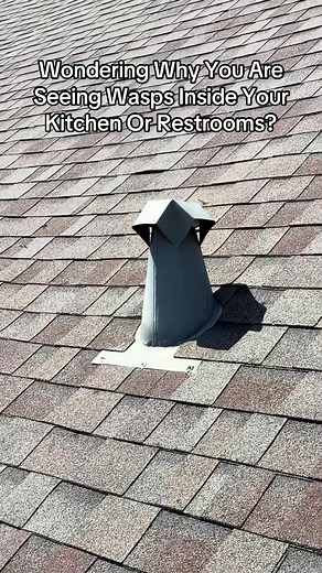 a VERY well slept on entrance for wasps that homeowners miss #Reels | Aviator Pest Control