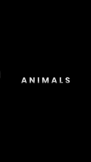 Maroon5 - Animals slowed + reverb status