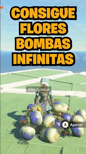 *TIP* Get Infinite BOMB FLOWERS in Zelda Tears of the Kingdom
