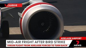 EXCLUSIVE: A Virgin flight has been a forced to return to Adelaide after a potentially dangerous bird strike during takeoff. Download the 7NEWS app: https://7news.link/7NEWSapp #7NEWS | 7NEWS Adelaide