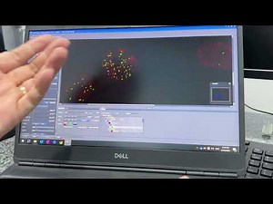 Performance comparison (ZEISS) - Part 14/14 #zeiss #microscope #fluorescence #zen