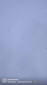 Holiday Gift Sets available NOW!🎄✨The perfect gift for the coffee lover in your life ♥️ These cute gift sets come with a Java mug, 12oz bag of coffee grounds, and a bag of chocolate covered espresso beans 😍 Available at our Idaho Falls, Blackfoot & Pocatello locations until December 24th while supplies last! | Java Espress