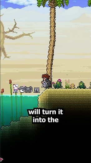 CRAZIEST Secrets Added in Terraria 1.4.5!