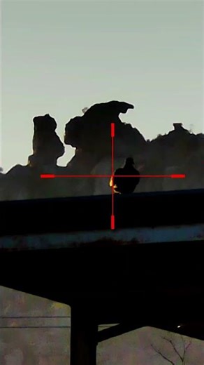 Pigeon Hunting with 22LR! #hunting #outdoors