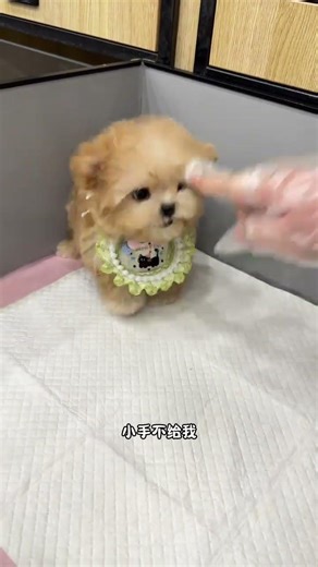 Lost My Temper Over a Little Nose! Can You Handle Your Anger? Struggles Emotions LifeHacks