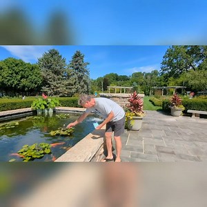 1K views · 36 reactions | As promised, Dave shares more about the pond along with some tips + tricks to feeding the koi at the gardens! This is such a fun and unique experience for all ages. Questions about planning your next trip to the gardens? Send us a message and we'd be happy to help answer them! | Rotary Botanical Gardens | Facebook