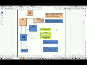 Fannie Mae Securitization Audit Report Presentation