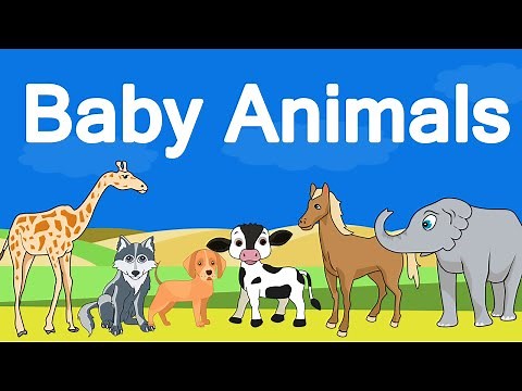 Baby Animals - Animals and their babies -Animals and their young ones-vocabulary for kids