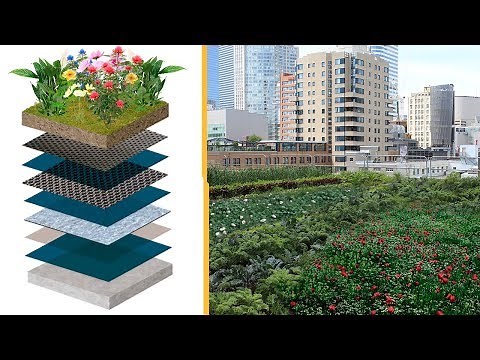 GREEN ROOF: How to have an ECO-FRIENDLY HOME