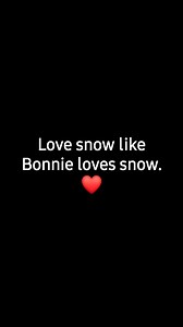 33K views · 658 reactions | Bonnie our resident education ferret get some exercise with her snow enrichment! | Hope For Wildlife | Facebook