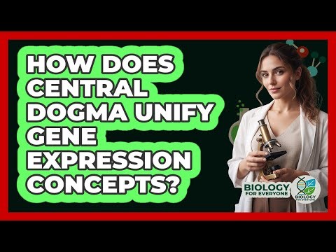 How Does Central Dogma Unify Gene Expression Concepts?