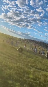 Made this AI clip because I wanted a completely surreal farm moment… and hundreds of furries sprinting through the field like a full convention escaped?? Unreal 😭 #outofcontrol #whatisthis #unrealmoment #omg #furries | H & M Studios