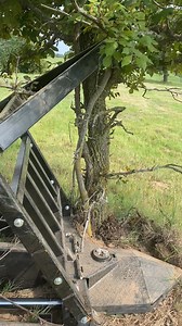 💪🥵 It's 100 degrees & we're still out training on the Marshall Tree Saw! ❌ We don't shoot debris. We don't start fires in the field. We don't have expensive carbide teeth to replace. If you're clearing land this summer, you need a Marshall Tree Saw! 📞 Call us at (918) 645-1069 💻 Visit our website www.marshalltreesaw.com #marshalltreesaw #skidsteerattachments #landclearing #SkidSteerAttachment #skidsteer #treesaw #treecutting #treefelling #rightofway #ranchlife #farmingequipment | Marshall Tr