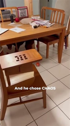 POV: Kitchen Timer Sends Dog Into Chaos Mode #Shorts