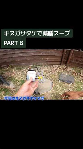 秘密基地作りの完全ガイド：大人も子どもも楽しめるDIYアイデアと作り方