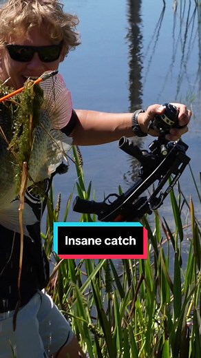 Check out this bizarre, bowfishing pistol crossbow! It’s called the Ballista Bat and is the perfect bowfishing pistol crossbow! #crossbow #archery #bowfishing