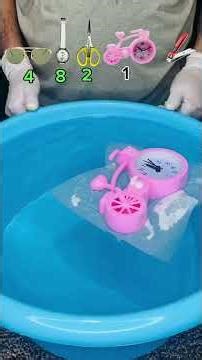 TRY TO GUESS HOW MANY TOILET PAPER IT TOOKS!