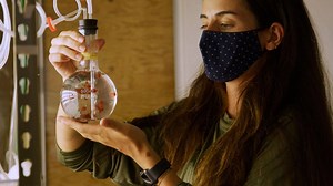 The battle against climate change is creating all new economies and truly unique innovations. We went to a lab in Hawaii and a farm in New York to see how an unlikely pair are teaming up to fight one of agriculture's most potent problems: methane gas. | Verge Science