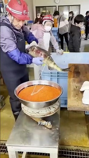 How Artificial Fish Breeding Works 🐟 #shorts #fish #fishfacts