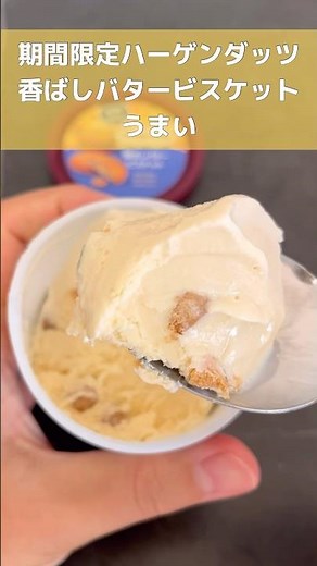 ハーゲンダッツのバタービスケット味が美味いぞ。