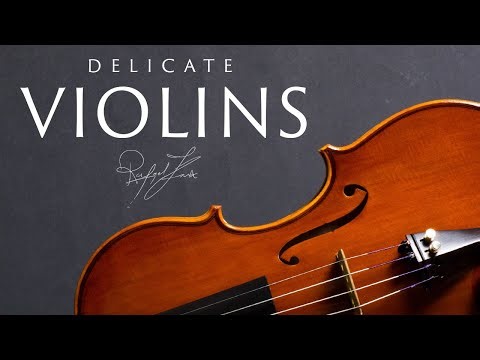 Delicate Violins