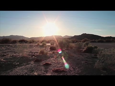 The guardians of the Mojave Desert