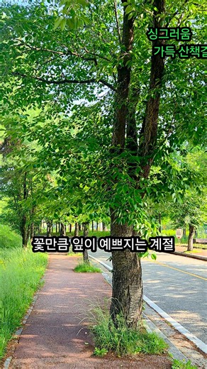 싱그러움이 가득 산책길 #미니화분 #전유진 #그대가 그립습니다
