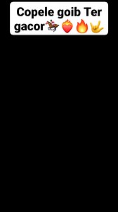 6.2K reactions · 28 shares | Apa cuma aku yg nungguin flashback axcel⛓️ +RosLima tahun ke blakang  Akan se'estetik apa coba Ros sama Axel berkuda   Secara scene axcel yg nyiapin mawar  aja udah se'estetik itu❤️‍ https://s.shopee.co.id/4VT2hXafGb | Siti Hodijah Vlog | Facebook