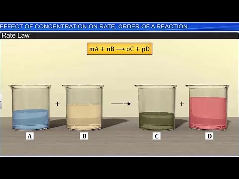 CBSE Class 12 Chemistry || Chemical Kinetics || Full Chapter || By Shiksha House