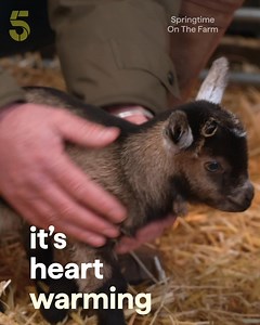 It's an emotional rollercoaster ✨ #ItsAllOn5 | Channel 5