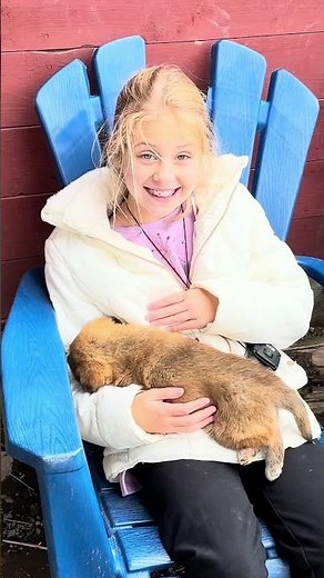 Alaska Sled Dog Excursion #alaskacruise #cruisetour