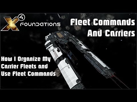 X4 8.0 | Fleet Commands and Carriers Guide: How I Organize My Carrier Fleets and Use Fleet Commands