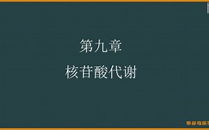 【生化期末速成】核苷酸代谢 nucleotide metabolism