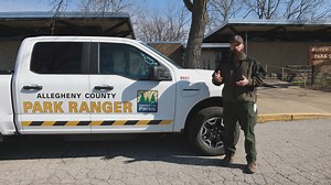 62K views · 343 reactions | Learn how to identify and remove Spotted...