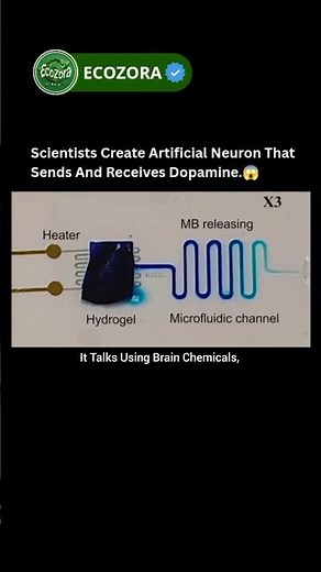 Artificial Neuron Talks Using Dopamine 🤯 #neuroscience #robotics #shorts
