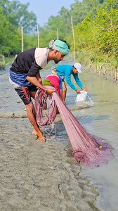 Shrimp Fish of Sundarban's with Natural Beauty #reels #sundarban #sundarbanexpress | Sundarban Express