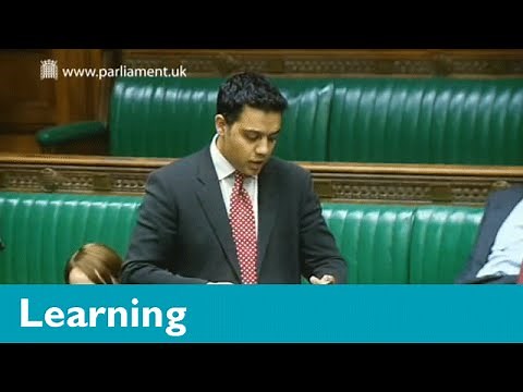 What is the difference between parliament and government?